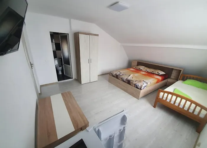 Vila Dan Costineşti