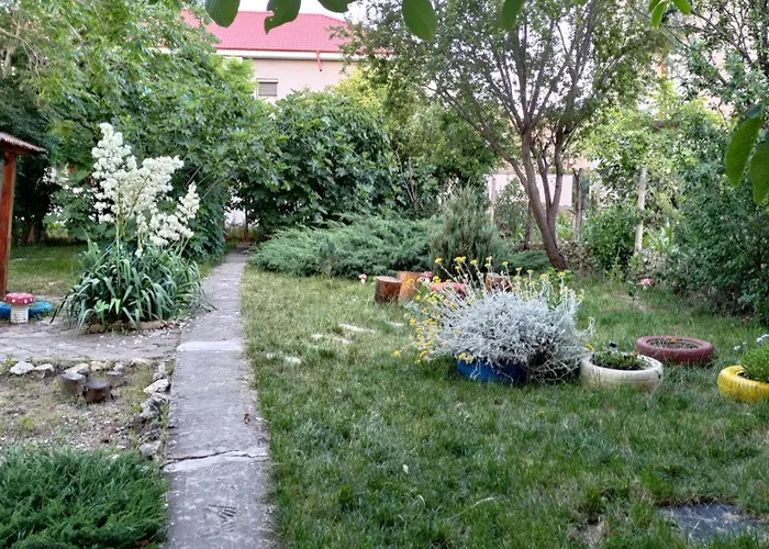 Holiday House Costineşti